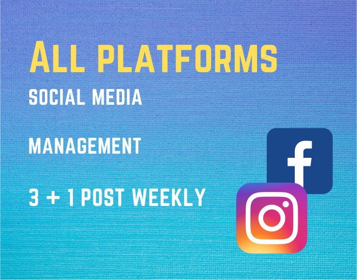Instagram-and-Facebook-Management-Platinum