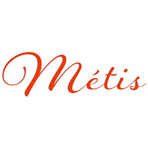 metis-tt-logo